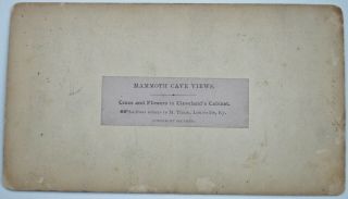 KENTUCKY Stereoview Mammoth Cave Cross Flowers Cleveland Cabinet M.  Thum 1870 ' s 3