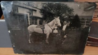Nearly Full - Plate Tintype Of Man With His Saddled White Horse