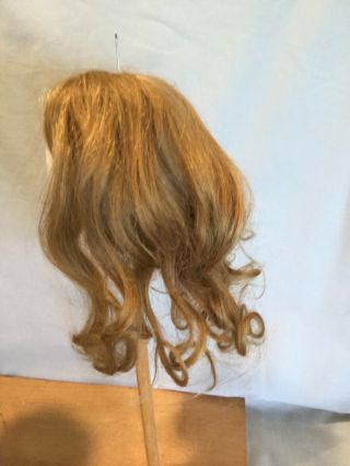 Antique Human Hair Dark Blonde Doll Wig 10”