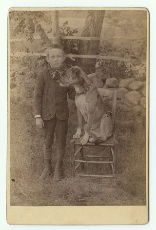 Cabinet Card Of Boy Posed With Large Dog In Countryside