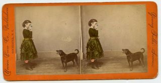 Girl In Green Dress With Dog Vintage Hand Colored Stereoview Photo