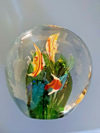 Vintage 1950s Murano Cenedese Art Glass Fish Fishtank Aquarium Sculpture