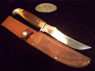 1940,  S Case 523 - 6 Hunting Skinning Knife W/knarly Stag And Sheath Razor Sharp