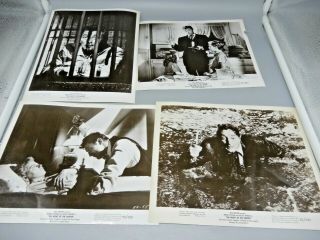 4 Night Of The Hunter Vintage 8x10 Press Photos Robert Mitchum 1955