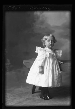 Glass Plate Negative 1880 Little Girl In White Dress Great