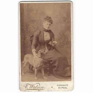 Cdv Victorian Lady With Pet Dog Carte De Visite By Watson Of Ripon