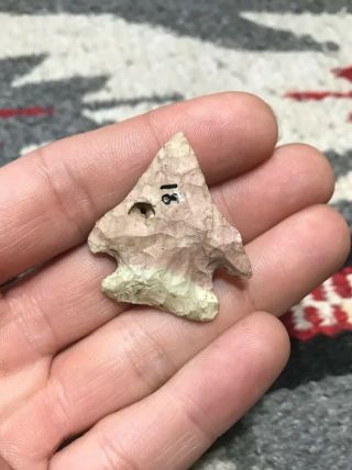 Mlc S3160 Pink White Archaic Arrowhead Artifact With Hole Macon,  Mo X Belshe