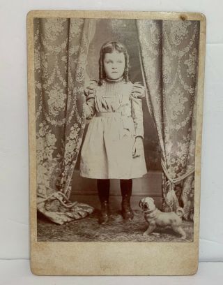 Cabinet Card Serious Little Girl With Toy Pug Dog Long Ringlets Fancy Curtains