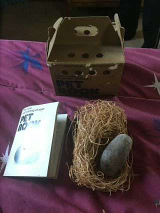 Vintage 1975 Pet Rock With Rock,  Box,  Bedding And Instructions