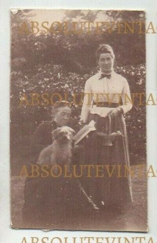 Approx Cdv Size Photograph Ladies With Pet Dog - Breed ? Vintage 1880s
