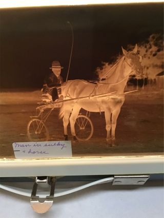 Horse And Racing Surrey And Driver Glass Plate Negative 4 " By 6.  5 "