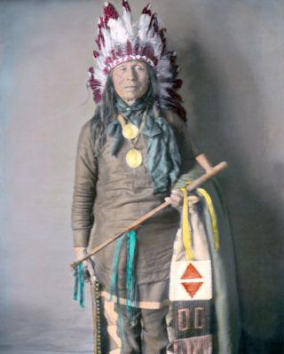 Iron Owl Native American Indian Yankton Sioux 1905 8x10 " Hand Color Tinted Photo