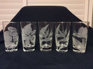 Vintage Frank Oda Arts Hawaii Floral Etched Glass Cups Glasses 5” Set Of 5