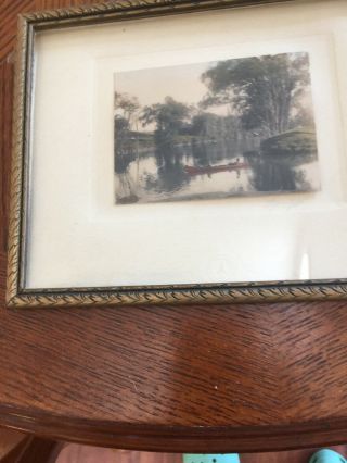 VINTAGE HAND - TINTED Photograph 
