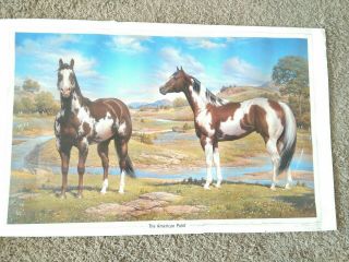 Large Orren Mixer Apha The American Paint Horse Art Signed 1992