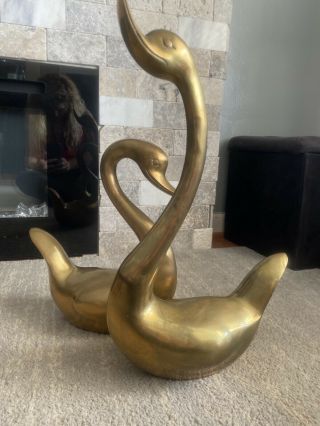 Set Of 2 Large Solid Brass Swans Geese Vintage Mid Century 19 " & 13” Tall Gold