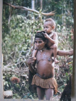 Irian Jaya Papua Guinea Sago Palm Grass Skirt Tribal Artifact