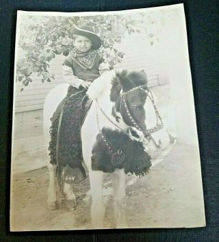 Vintage Photograph Of Little Cowboy Boy On A Pinto Pony 7.  25 " X 9 "