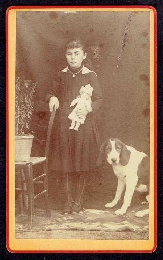 Cdv Photo Girl With Doll And Dog (3970)