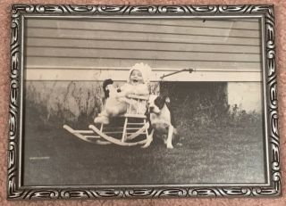 Vintage Baby In Rocker With Dog Charming Photo Vintage Silver Frame