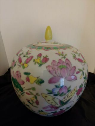 Vintage Famille Rose Porcelain Chinese Ginger Jar Butterflies & Floral 12 "