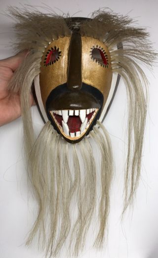 Zoomorphic Sonora Yaqui Native Southwestern American Old Man Dance Mask Pascola