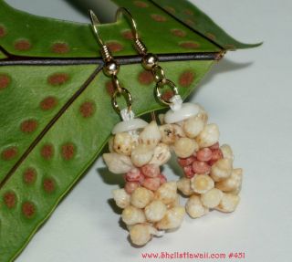 1 " Momi Lenalena & Pink Kahelelani Shell Earrings From Niihau 451