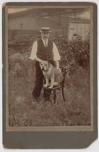 Dog Cabinet Photo - Man In Garden With Boxer Dog On Chair