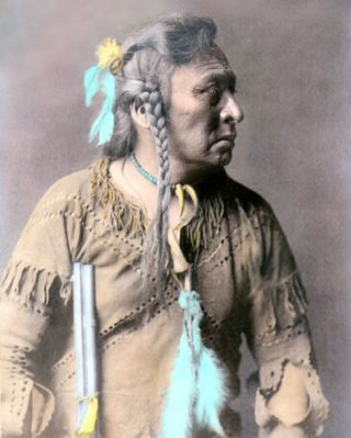 Horse Capture Atsina Native American Indian 1908 8x10 " Hand Color Tinted Photo