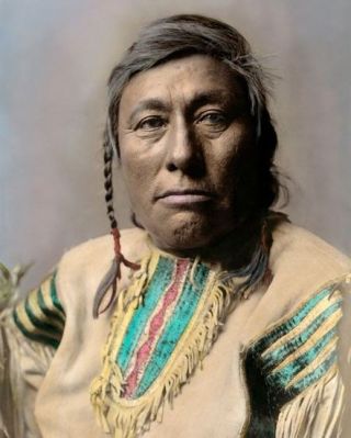 Long Time Dog 1908 Native American Indian (p) 8x10 " Hand Color Tinted Photograph