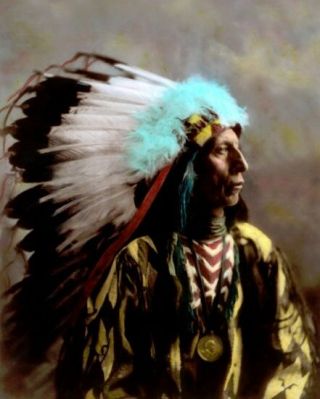 Jack Red Cloud Oglala Lakota Sioux 1904 8x10 " Hand Color Tinted Photograph