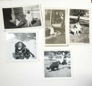 Vintage Photograph Girls Dog Playing Black & White Photo