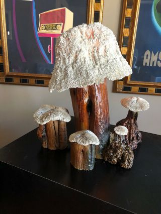 Vintage Coral Mushroom Lamp - Cypress Wood - Real Coral -