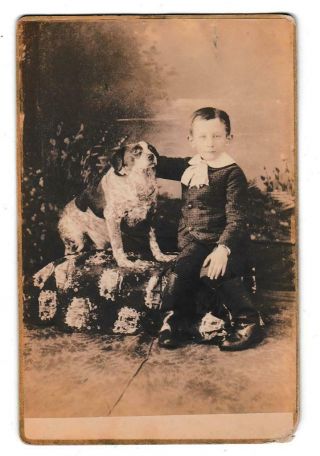 Vintage Cabinet Card Young Boy With His Fat Dog Id On Verso