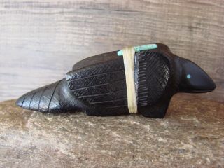 Zuni Indian Hand Carved Jet Raven Fetish - Herb Halate 175