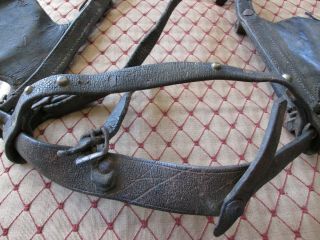 Antique Native American Pre - 1935 Whirling Log Brown Leather Horse Bridle 3