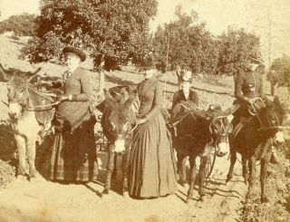 Group Of Women Beside And On Donkeys Or Burros Stereoview Possibly England