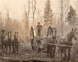 4 Loggers Horses Big Wheels Michigan Logging Photo Rare