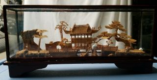 Vintage Chinese Hand Carved Cork Miniature Scene In Framed Glass Case