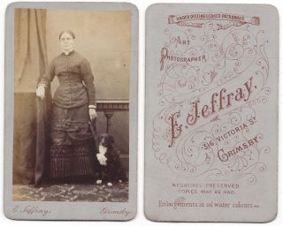 Cdv Victorian Lady With Pet Dog Carte De Visite By Jeffray Of Grimsby