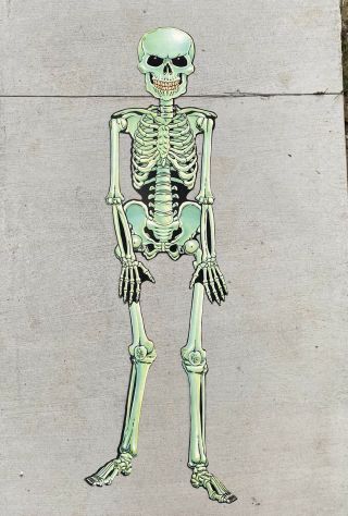 Rare Peck Vtg 1982 Flocked Jointed Skeleton 55 " Halloween Decoration In Package