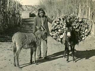 Mexico Santa Fe Indian & Mule Carrying Wood To Market Stereoview Stus81