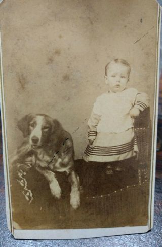 Newark,  Ohio Cdv Of Little Boy In Dress Posed Beside Huge Dog / Corners Clipped