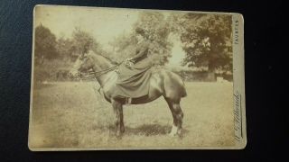 Lady Rides Horse Sidesaddle Victorian Cabinet Card Taunton Ag Petherick