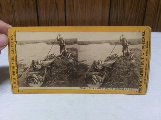 T.  W.  Ingersoll Stereoview Card Duck Hunting On Heron Lake Minnesota