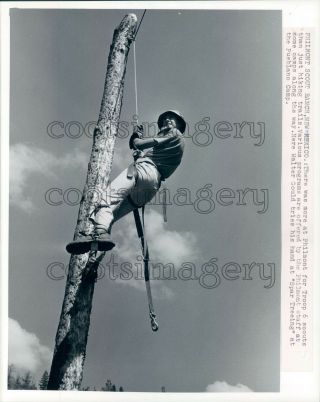 Spar Treeing Pueblano Camp Philmont Boy Scout Ranch Mexico Press Photo