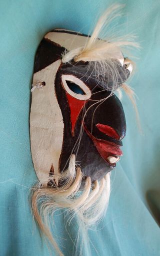 Yaqui Indian Pascola Deer Dance Mask Mayo Indian 2
