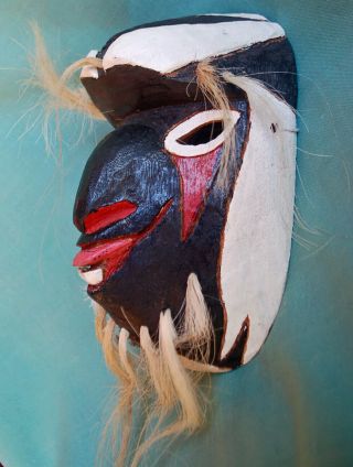 Yaqui Indian Pascola Deer Dance Mask Mayo Indian 3
