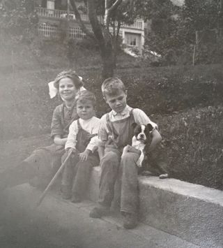 1909 Vintage Photo 3 Kids School Children With Pit Bull Puppy Dog American