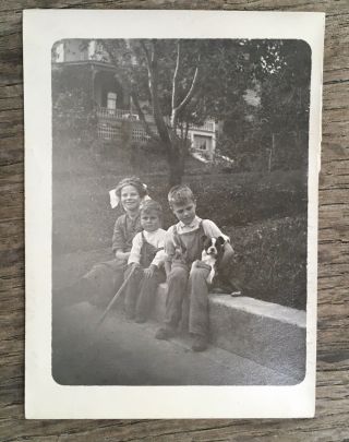 1909 Vintage Photo 3 Kids School Children With Pit bull Puppy Dog American 2